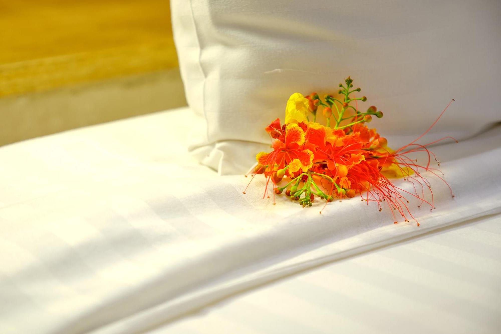 סאלי פורטודל Hotel Royam מראה חיצוני תמונה
